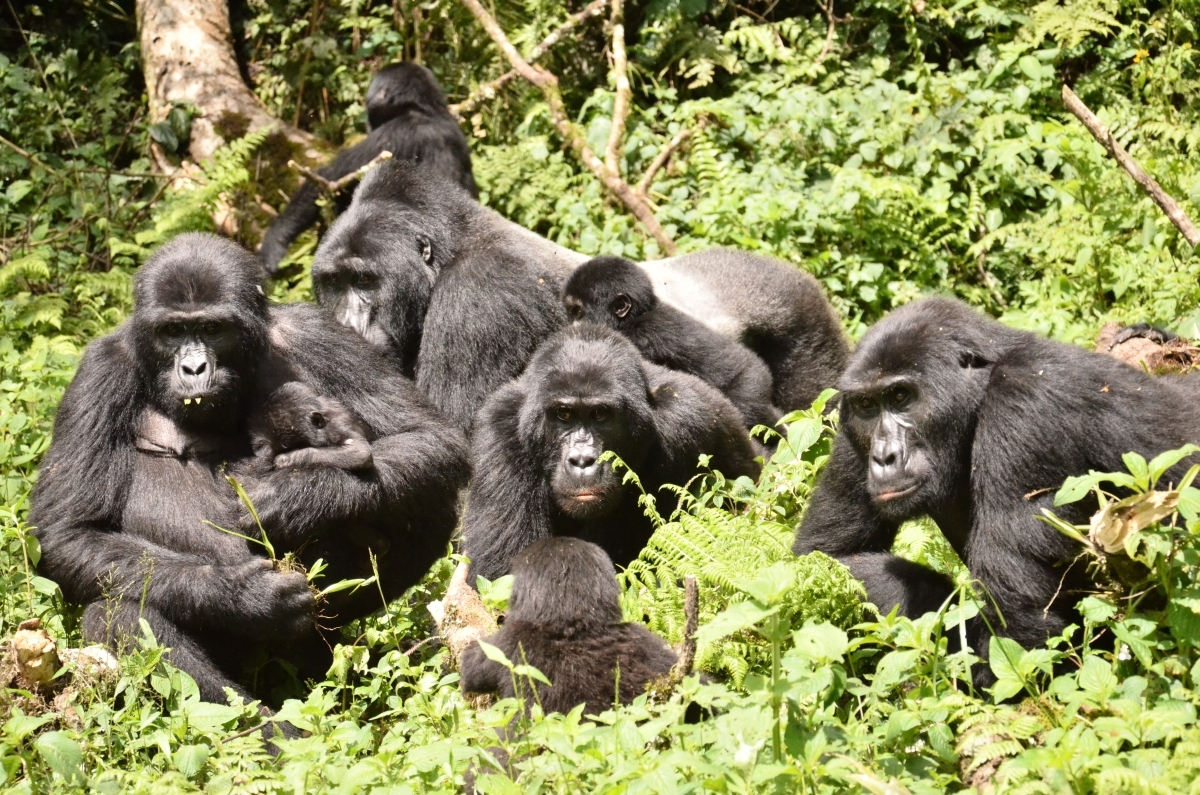Taková normální rodinka